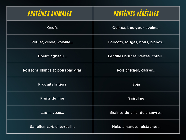 Exemples de protéines animales et végétales