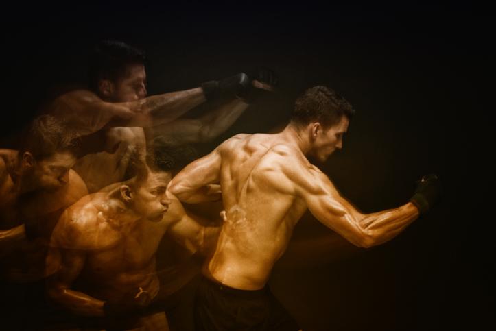 Combattant Fight Park
