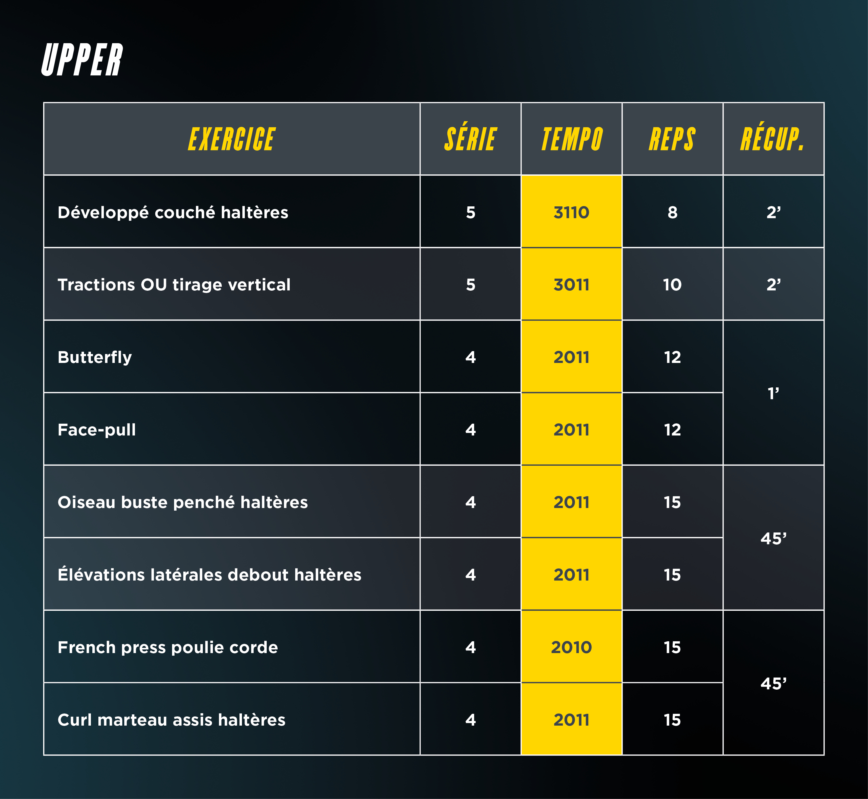 Programme entraînement haut du corps